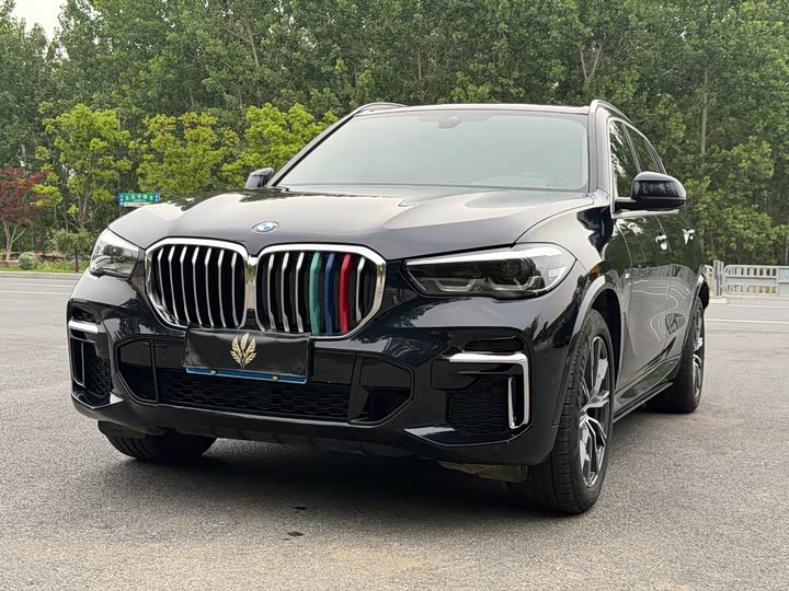 BMW X5 2022 x Drive 30 Li M — фото 1