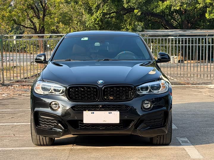 BMW X6 2019 x Drive 35i M — фото 2