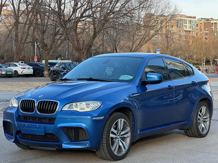 BMW X6 M 2013 X 6 M — фото 1