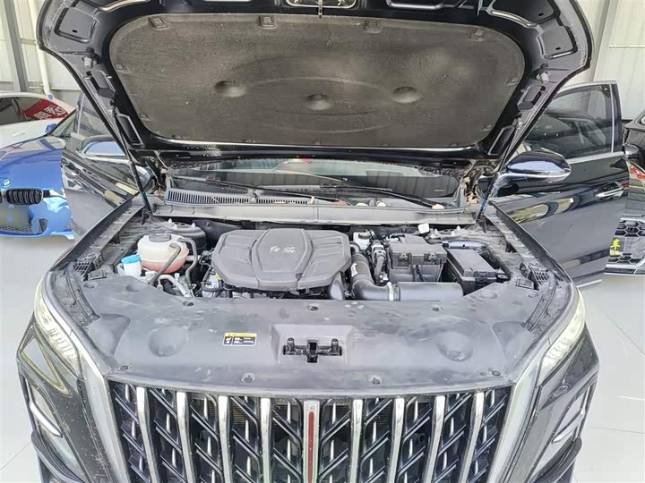 Hongqi HS5 2023 2.0 T 4 WD Pro — фото 19