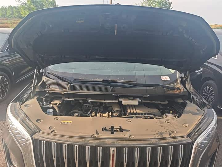 Hongqi HQ9 PHEV 2024 2.0 T 4 WD — фото 20