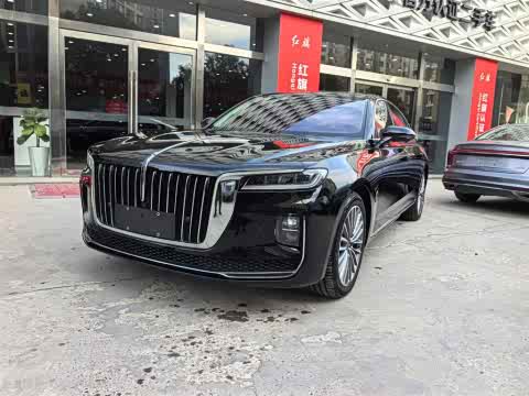 Hongqi H9 2020 2.0 T — фото 15