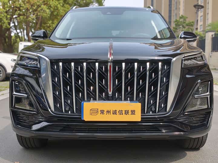 Hongqi HS5 2023 2.0 T Pro — фото 2