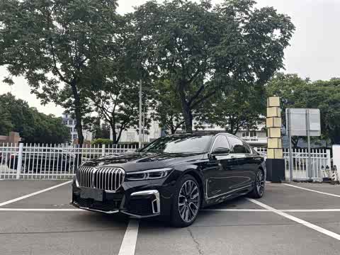 BMW 7-Series 2019 750 Li x Drive V 8 M — фото 10
