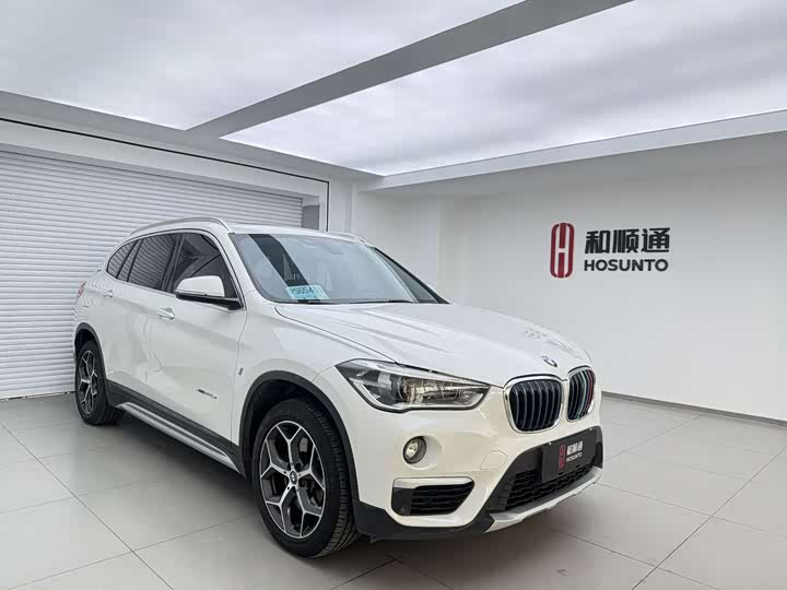 BMW X1 2018 x Drive 25 Le Luxury — фото 3