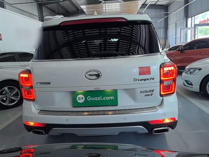 Trumpchi GS8 2017 320 T 2 WD ( ) — фото 4