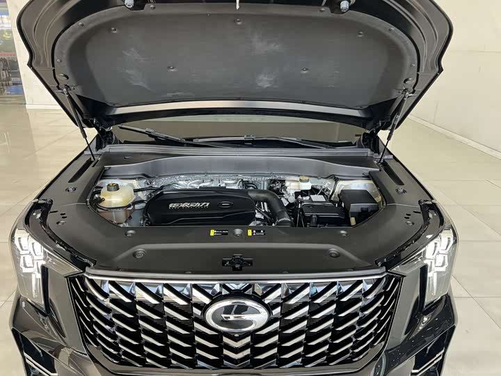 Trumpchi GS8 2022 2.0 TGDI 2 WD ( ) — фото 18
