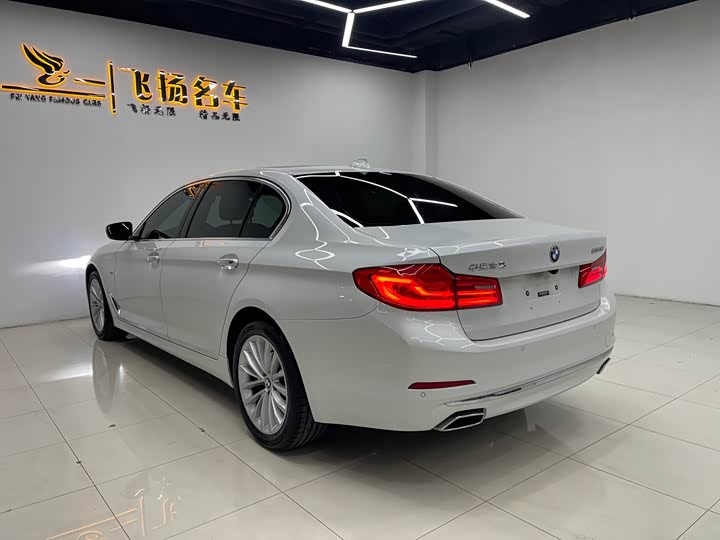 BMW 5-Series 2018 530 Li Leading — фото 14