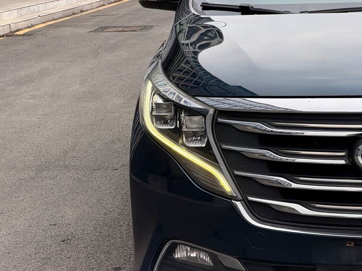 Trumpchi M8 2018 320 T — фото 3