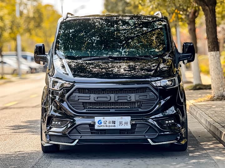 Wensenweier Ford 2025 2.0 T — фото 2