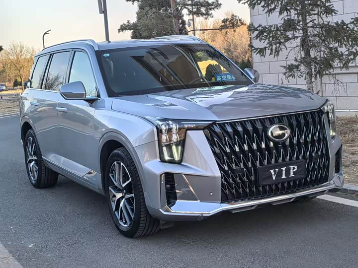 Trumpchi GS8 2022 2.0 TM 2 WD ( ) — фото 3