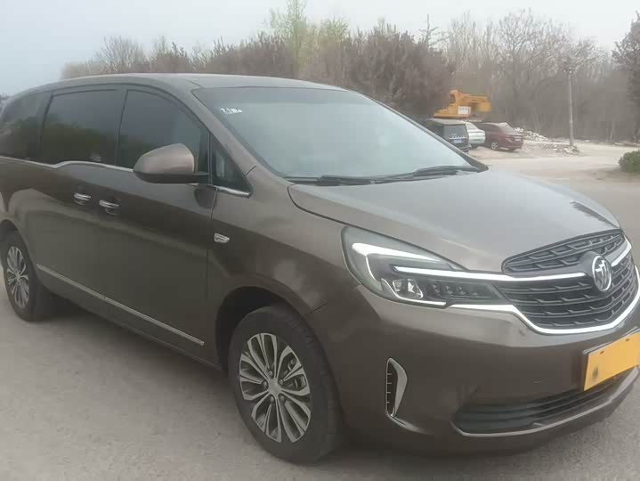 Buick GL8 652T люкс — фото 2