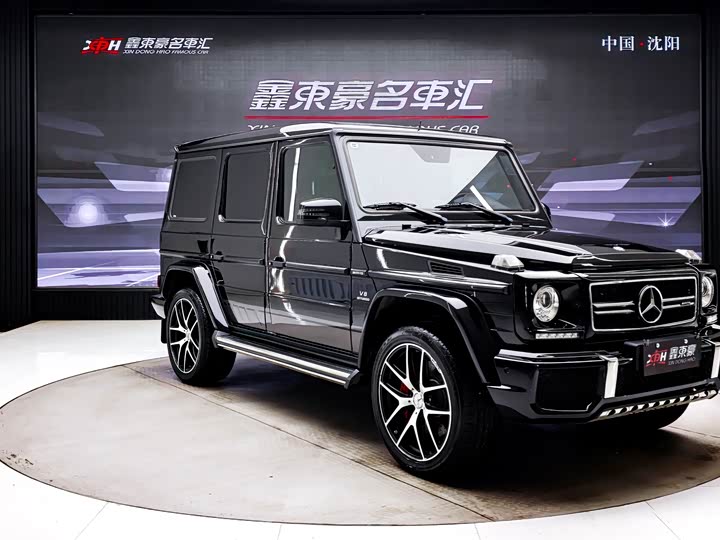 Mercedes-Benz G-Class 2016 AMG G 63 Edition 463 — фото 3