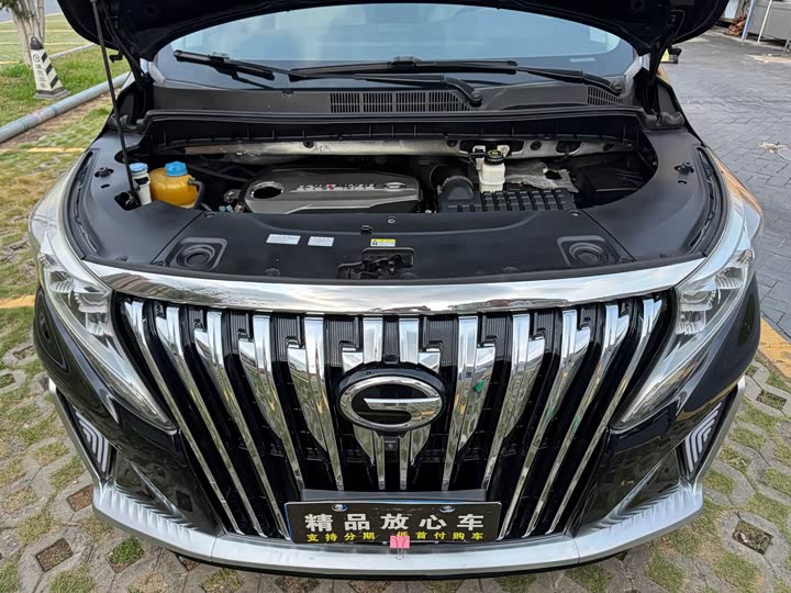 Trumpchi M8 2018 320 T — фото 22