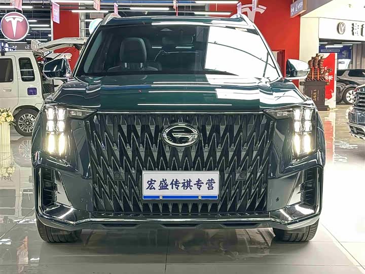 Trumpchi GS8 2022 2.0 TM 2 WD ( ) — фото 3