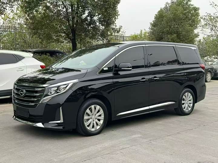 Trumpchi M8 2020 390 T