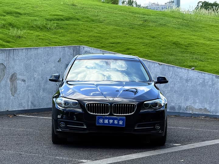 BMW 5 Series 525Li продвинутая — фото 2