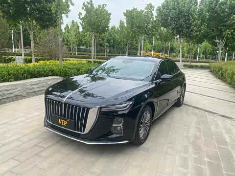 Hongqi H5 2023 1.5 T DCT — фото 19