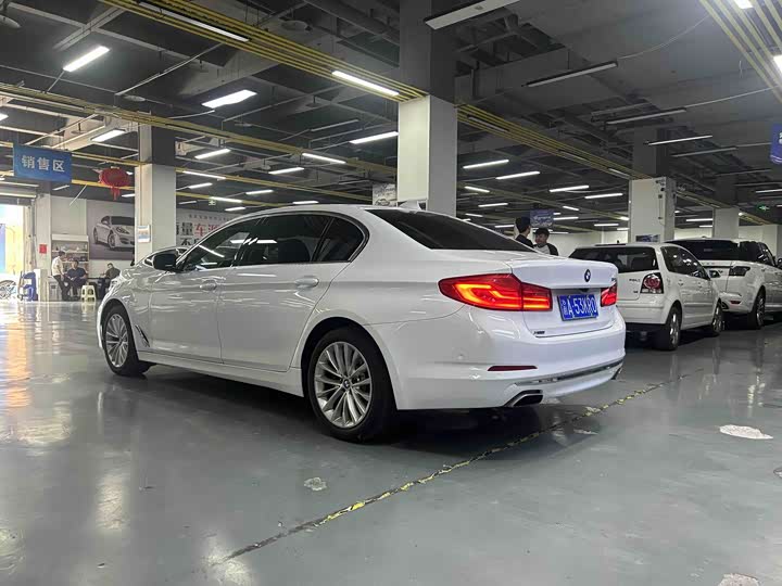 BMW 5-Series 2019 530 Li x Drive — фото 11