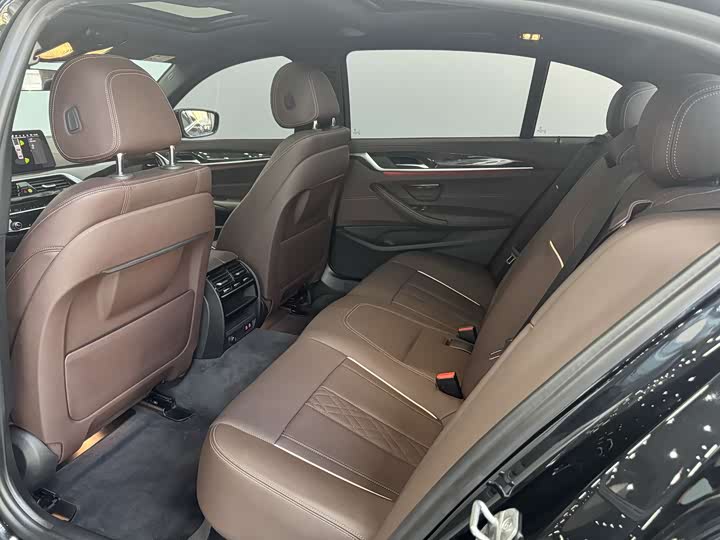 BMW 5-Series 2021 530 Li Leading M — фото 14