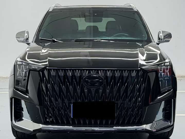 Trumpchi GS8 2022 2.0 TM 2 WD ( ) — фото 2