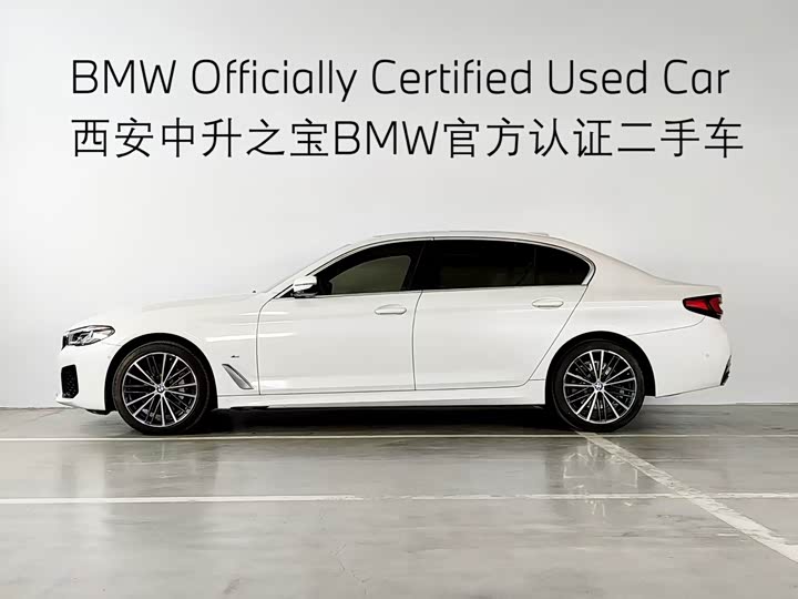 BMW 5-Series 2021 530 Li Leading M — фото 3