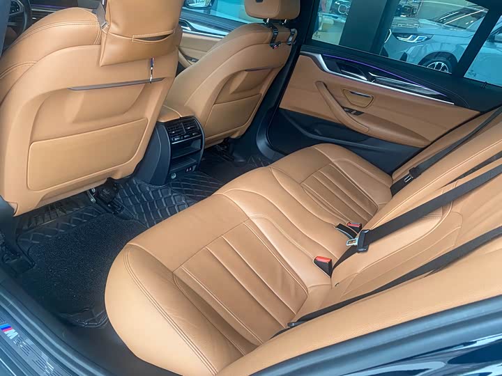 BMW 5-Series 2020 530 Li Leading M — фото 9