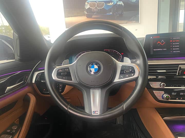 BMW 5-Series 2020 530 Li Leading M — фото 6