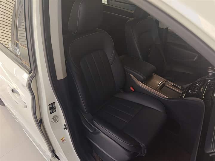 Trumpchi M8 2020 390 T — фото 20