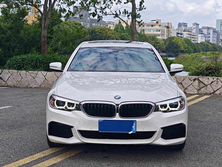 BMW 5-Series 2019 530 Li Leading M — фото 2