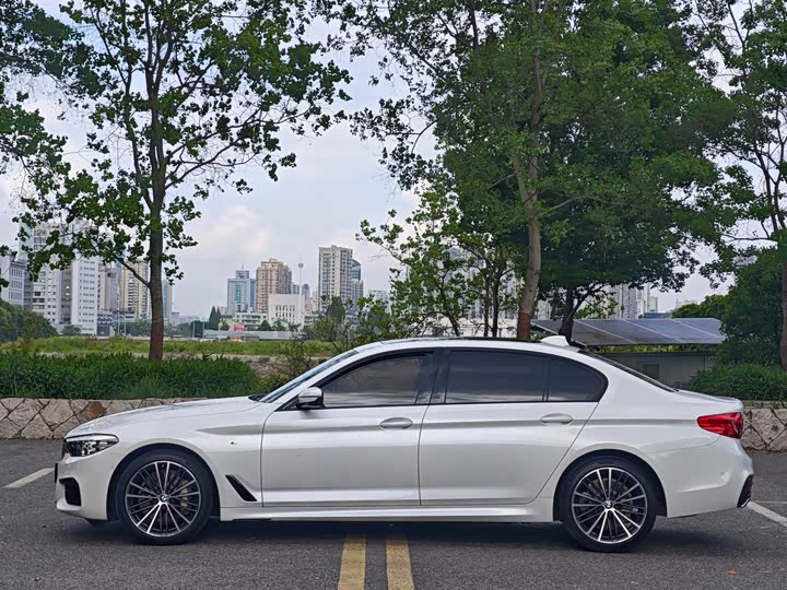 BMW 5-Series 2019 530 Li Leading M — фото 11
