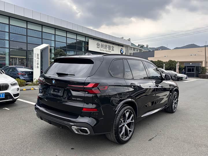 BMW X5 2025 x Drive 30 Li M — фото 13