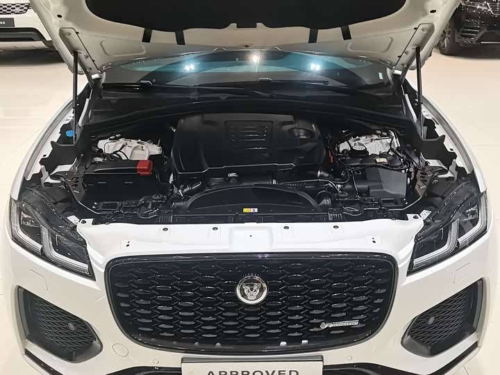 Jaguar F-PACE 2024 P 250 R-Dynamic SE — фото 4