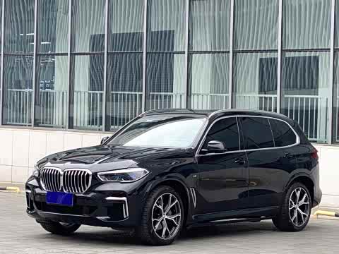 BMW X5 2022 x Drive 40 Li M — фото 10