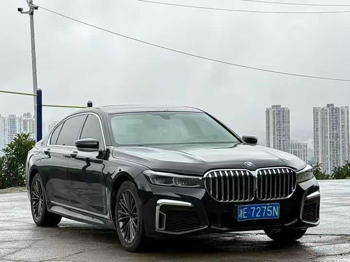 BMW 7-Series 2016 730 Li Leading — фото 4