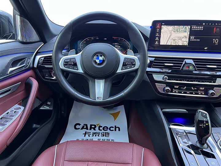 BMW 5-Series 2022 530 Li Leading M — фото 10