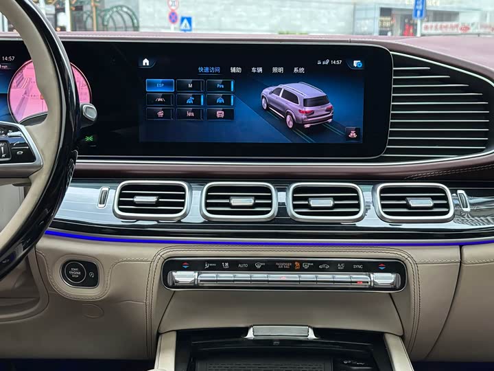 Maybach GLS 2022 GLS 480 4 MATIC — фото 13