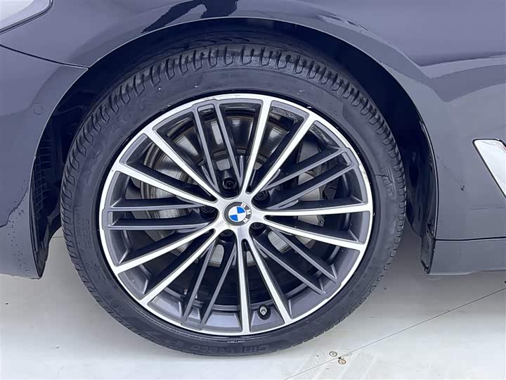 BMW 5-Series 2022 530 Li Leading M — фото 26