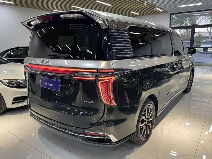 Hongqi HQ9 2023 2.0 T — фото 3