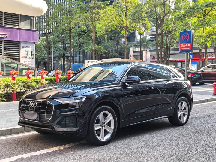 Audi Q8 2021 45 TFSI — фото 1