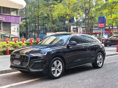 Audi Q8 2021 45 TFSI — фото 17