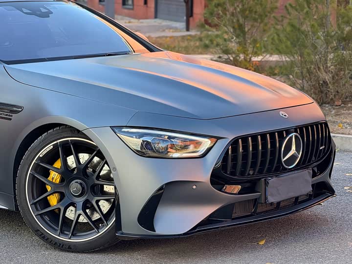 Mercedes-Benz AMG 2019 AMG GT 63 S 4 MATIC+ — фото 17