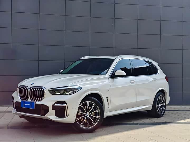 BMW X5 2022 x Drive 30 Li M — фото 1