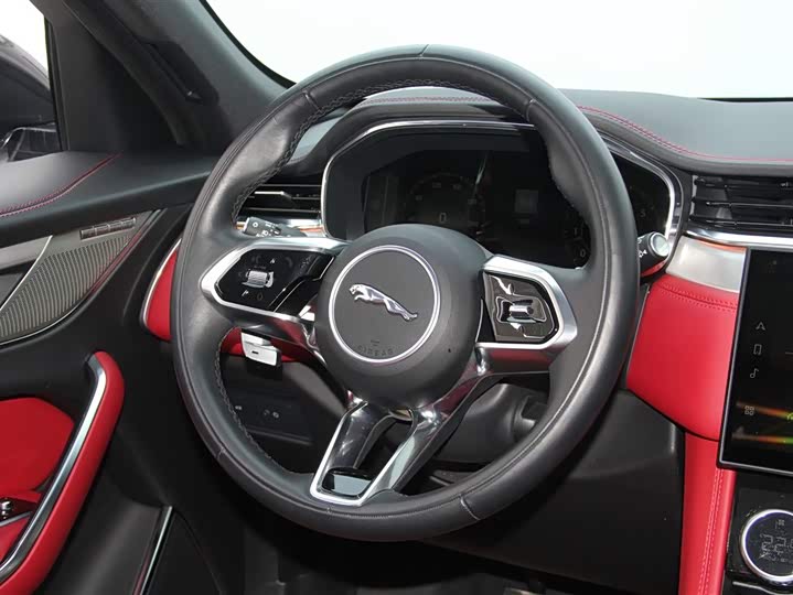 Jaguar F-PACE 2024 P 250 R-Dynamic SE — фото 15