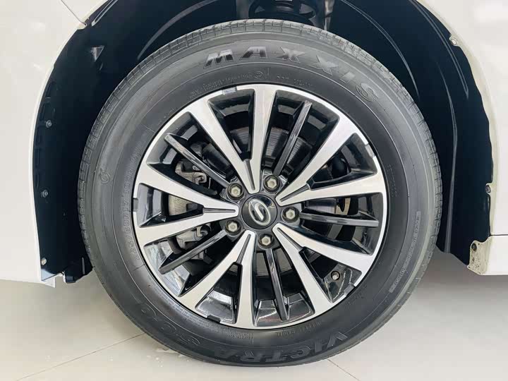 Trumpchi M8 2021 390 T — фото 3