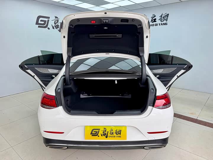 Mercedes-Benz CLS 2018 CLS 300 — фото 23