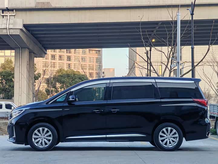 Trumpchi M8 2020 390 T — фото 18
