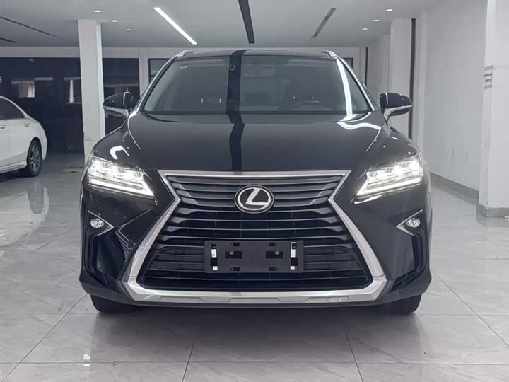 Lexus RX 2016 300 4 WD V — фото 3