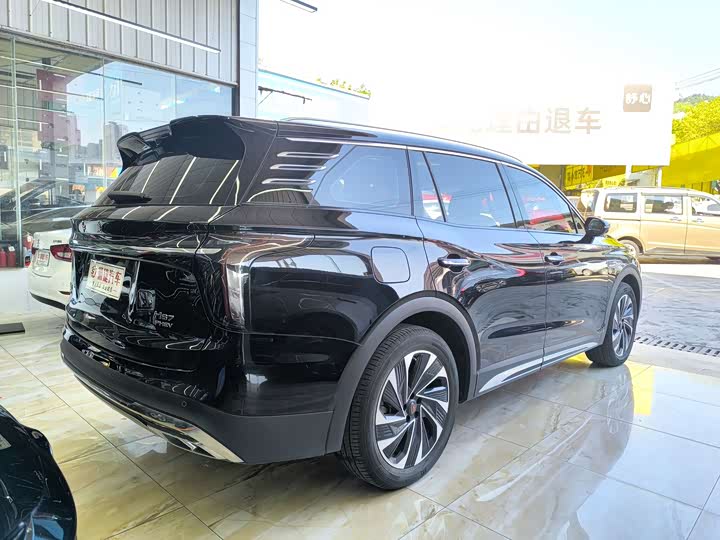Hongqi HS7 PHEV 2024 2.0 T PHEV 4 WD 6 — фото 12