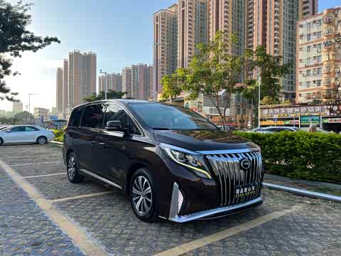 Trumpchi M8 2018 320 T — фото 20